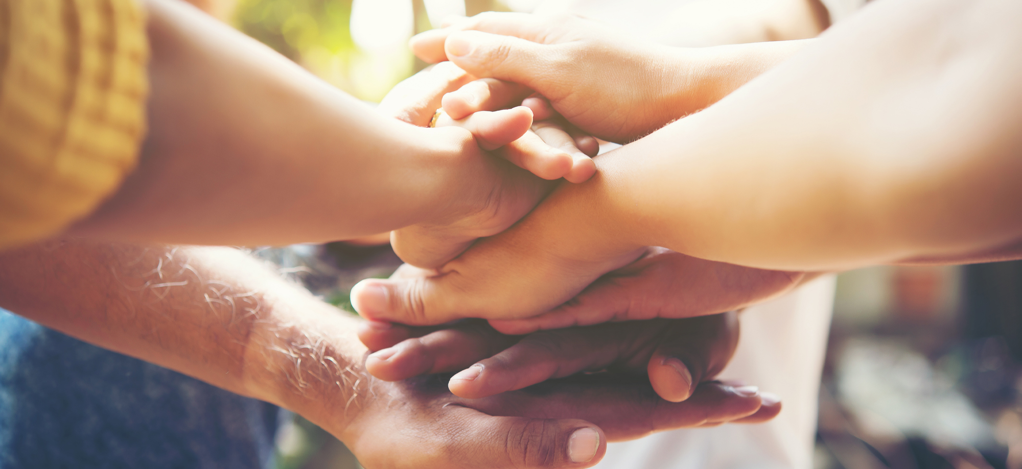 Turismo ostatuen kudeaketa